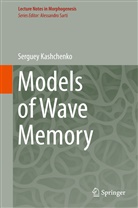 Serguey Kashchenko - Models of Wave Memory