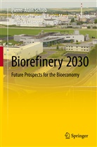 Barbara Clément-Larosière, Honorin Lescieux-Katir, Honorine Lescieux-Katir, Pierre-Alai Schieb, Pierre-Alain Schieb, Thén... - Biorefinery 2030