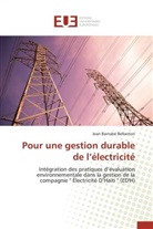 Jean Barnabé Bellanton, Bellanton-j - Pour une gestion durable de l