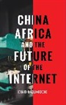 Dr Iginio (University of the Witwatersrand Gagliardone, Iginio Gagliardone - China, Africa, and the Future of the Internet