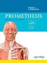Michael Schünke - Prometheus : póster de anatomía : huesos y músculos