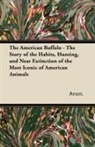 Anon, Anon. - The American Buffalo - The Story of the Habits, Hunting, and Near Extinction of the Most Iconic of American Animals