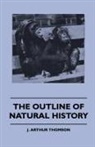 J. Arthur Thomson - The Outline of Natural History