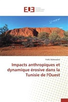 Fridhi Abdessalem, Abdessalem-f - Impacts anthropiques et dynamique