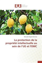 Manuele Angelo Manente, Manente-m - La protection de la propriete
