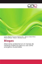 Cometta Conde, Silvia C. Cometta Conde, Bianca Yadira Pére Pérez Sariñana, Bianca Yadira Pérez Pérez Sariñana, Carlo Alberto Guerrero Fajardo, Carlos Alberto Guerrero Fajardo... - Biogas