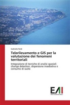 Gabriele Nolè - Telerilevamento e GIS per la valutazione dei fenomeni territoriali