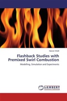 Nasser Shelil - Flashback Studies with Premixed Swirl Combustion