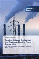 Befekadu Bezabih - Service Delivery Analysis of the Ethiopian Electric Power Corporation