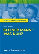 Hans Fallada - Hans Fallada "Kleiner Mann - was nun?"