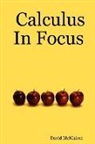 David Mcmahon - Calculus In Focus