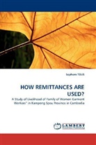 Sophorn Tous - HOW REMITTANCES ARE USED?