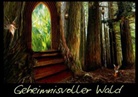 Yvonne Pfeifer - Geheimnisvoller Wald (Posterbuch DIN A4 quer)