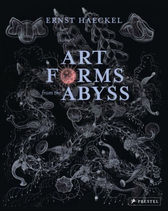 Dyla Evans, Dylan Evans, Dylan W. Evans, Martin Kemp, David Roberts, David et al Roberts... - Art Forms from the Abyss - Ernst Haeckel's Images from the HMS Challenger Expedition