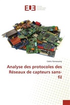 Cédric Ramassamy, Ramassamy-c - Analyse des protocoles des