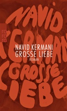 Navid Kermani - Große Liebe