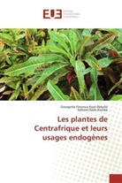 Ephre Kosh-Komba, Ephrem Kosh-Komba, Georgette Florenc Koyt-Deballé, Georgette Florence Koyt-Deballé - LES PLANTES DE CENTRAFRIQUE ET LEURS USAGES ENDOGENES