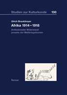 Ulrich Braukämper - Afrika 1914-1918: Antikolonialer Widerstand jenseits der Weltkriegsfronten