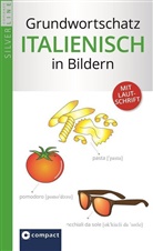 Valerio Vial, Horst Gebhardt, Doris Weigl - Grundwortschatz Italienisch in Bildern