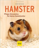 Peter Fritzsche - Hamster