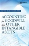El Black, Ervin Black, Ervin L Black, Ervin L. Black, Ervin L. (Brigham Young University Black, Ervin L. Zyla Black... - Accounting for Goodwill and Other Intangible Assets