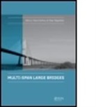 Pedro Magalhaes Pacheco, Pedro Manuel Calas Lopes Magalhaes Pacheco, Filipe Magalhaes, Magalhaes Filipe, Pedro Pacheco - Multi-Span Large Bridges