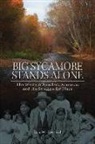 Ian W. Record - Big Sycamore Stands Alone