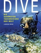 Lawson Wood - Dive