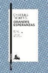 Grandes esperanzas