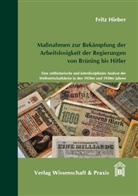 Fritz Hieber - Maßnahmen zur Bekämpfung der Arbeitslosigkeit der Regierungen von Brüning bis Hitler.