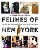 Jim Tews - Felines of New York