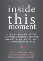 Thomas Gustavsson, Patricia J. Robinson, Kirk D Strosahl, Kirk D. Strosahl, Kirk D./ Robinson Strosahl - Inside This Moment