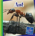 Susan H Gray, Susan H. Gray, Susan Heinrichs Gray - Ant