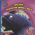 Kathryn Beaton - Discover Moray Eels