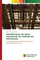 Filipe Otsuka Taminato - Identificação de dano estrutural via método de otimização