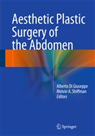 A Shiffman, A Shiffman, Albert Di Giuseppe, Alberto Di Giuseppe, Alberto Di Giuseppe, Melvin A. Shiffman - Aesthetic Plastic Surgery of the Abdomen