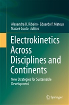 Nazaré Couto, Eduardo P. Mateus, Eduard P Mateus, Eduardo P Mateus, Alexandra B. Ribeiro - Electrokinetics Across Disciplines and Continents