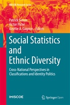 Amélie A Gagnon, Amélie A. Gagnon, Victo Piché, Victor Piché, Patrick Simon - Social Statistics and Ethnic Diversity