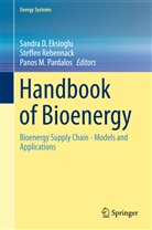 Sandra D. Eksioglu, Panos M Pardalos, Panos Pardalos, Panos M Pardalos, Panos M. Pardalos, Steffe Rebennack... - Handbook of Bioenergy
