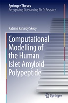 Katrine Kirkeby Skeby - Computational Modelling of the Human Islet Amyloid Polypeptide