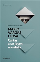 Mario Vargas Llosa, Mario Vargas Llosa - Cartas a un joven novelista / Letters to a Young Novelist