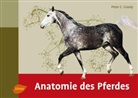Peter Goody, Peter C Goody, Peter C. Goody - Anatomie des Pferdes
