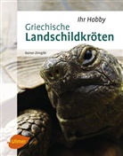 Rainer Zirngibl - Griechische Landschildkröten