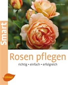 Henry Klein - Rosen pflegen