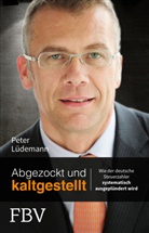 Peter Lüdemann, Peter Sloterdijk - Abgezockt und kaltgestellt