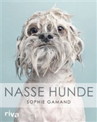 Sophie Gamand - Nasse Hunde