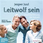 Jesper Juul, Claus Vester - Leitwolf sein, 2 Audio-CDs (Livre audio)