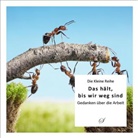Götz Gußmann, Götz Gußmann - Die Kleine Reihe Bd. 37: Das hält, bis wir weg sind