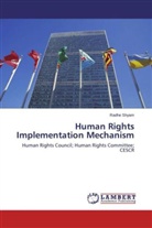 Radhe Shyam - Human Rights Implementation Mechanism