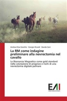 Andrea Elis Giavitto, Andrea Elisa Giavitto, Giorgi Ricardi, Giorgio Ricardi, Davi Zani, Davide Zani - La RM come indagine preliminare alla nevrectomia nel cavallo